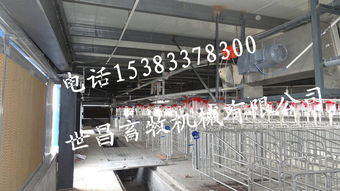 豬場自動化料線系統 現代養豬設備的核心設計與實踐