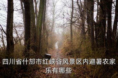 德陽華強村水庫農家樂 中餐制售與清涼避暑的完美之選